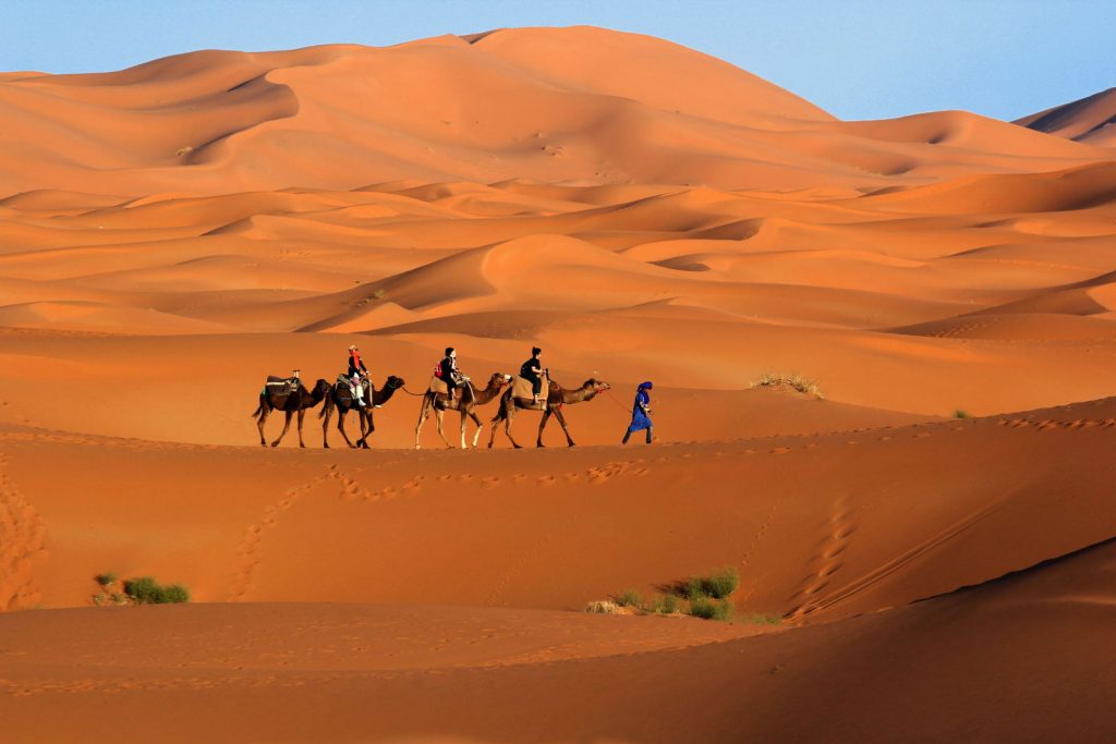 Merzouga Passeios com camelo